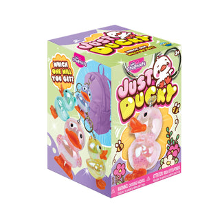 Box of 'Just Ducky' toy with colorful duck characters on a white background