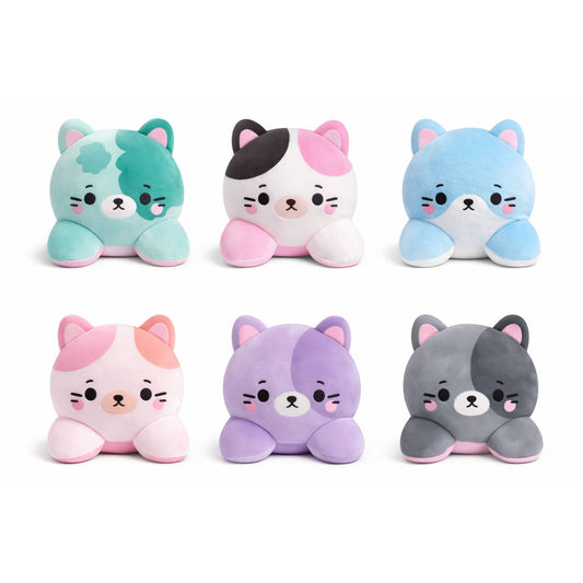 Set of six colorful cat-shaped plush toys on a white background